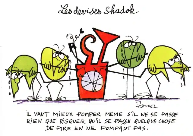 La gestion du changement Web2vi Shadok management